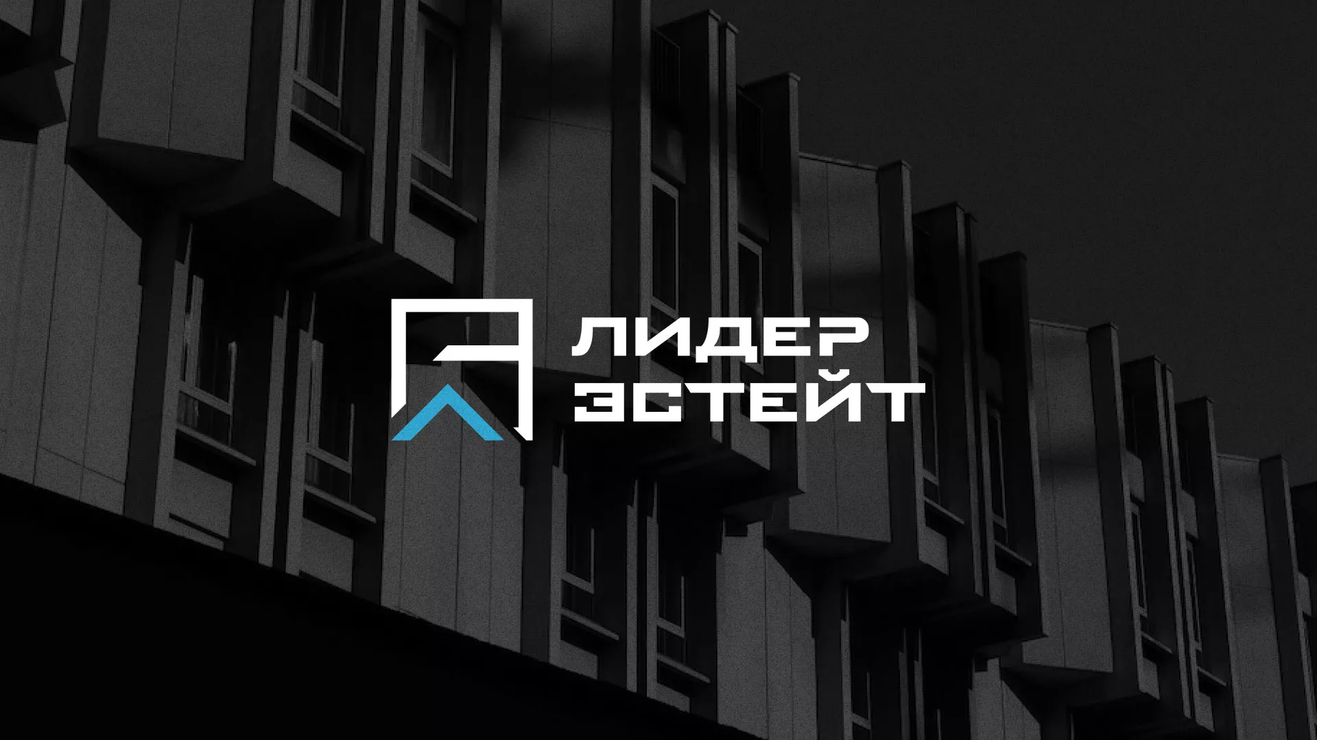 Разработка логотипа агентства недвижимости «Лидер Эстейт» в Лахденпохье